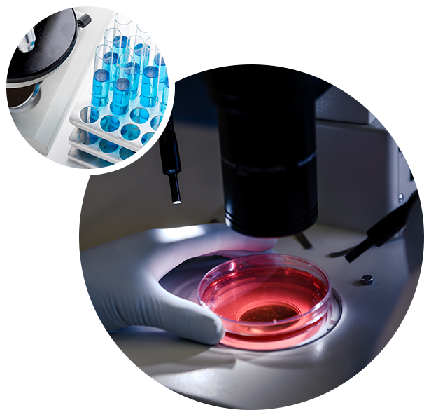 �ŵ�88(�й���)�ٷ���վ