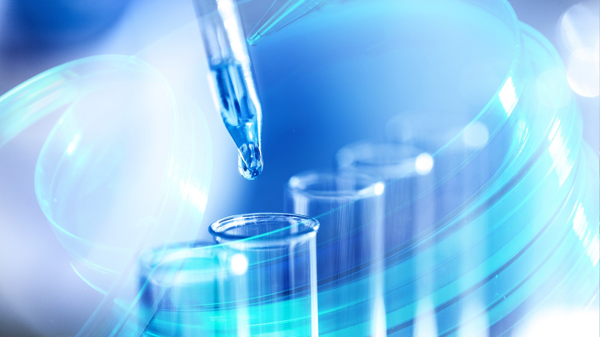 �ŵ�88(�й���)�ٷ���վ