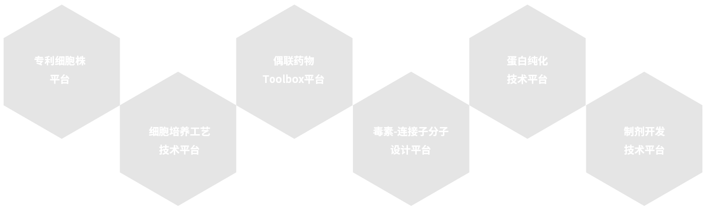 �ŵ�88(�й���)�ٷ���վ