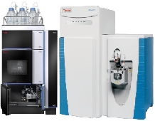 �ŵ�88(�й���)�ٷ���վ